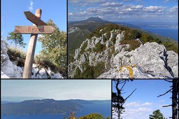 Sisol - Šikovac