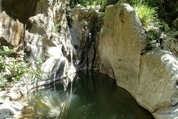 Kanjon Zala