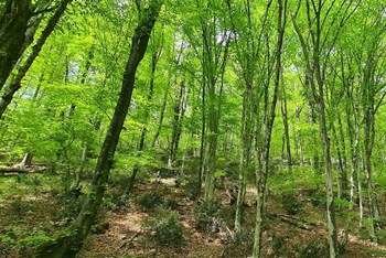 Kont - izvor Rječine 2025.