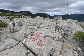 Velinac i Visibaba 20.6.2026.