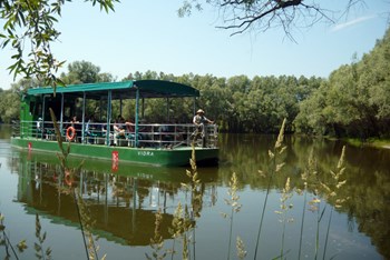 Kopački rit, Fruška gora, Vukovar, Ilok, Osijek, Đakovo