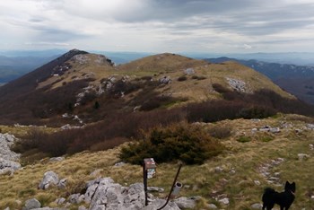 Bjelolasica u proljeće (1534 m)